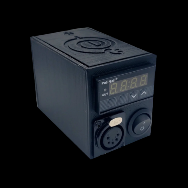 DISORDERLY CONDUCTION 3D PRINTED E-NAIL