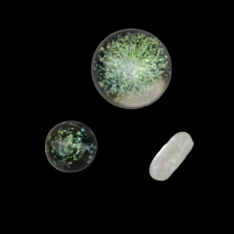 Dicro Sparkle Slurper Set (3 pcs.) (GREEN)