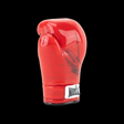 TYSON BOXING GLOVE 5.5" HAND-PIPE