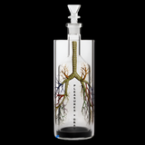 GRAV_XPleasures-BreatheAgainGravitron2